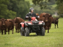 Фото Suzuki LT-A500XP KingQuad  №3